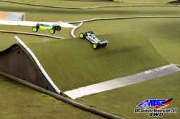 2015 DM 4WD Buggy 4WD Juni